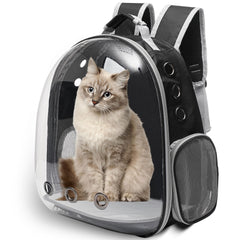 Vivicreate backpack features ventilation mesh sides for comfortable breathing on hikes.