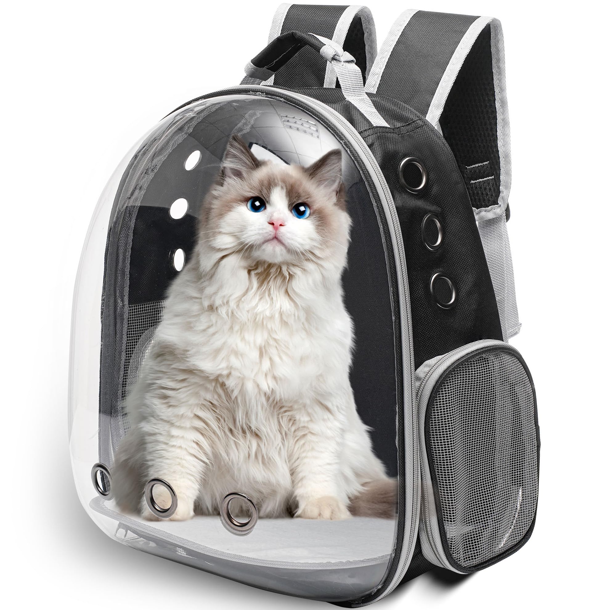 Vivicreate large cat backpack with transparent bubble improves pet visibility during travel.