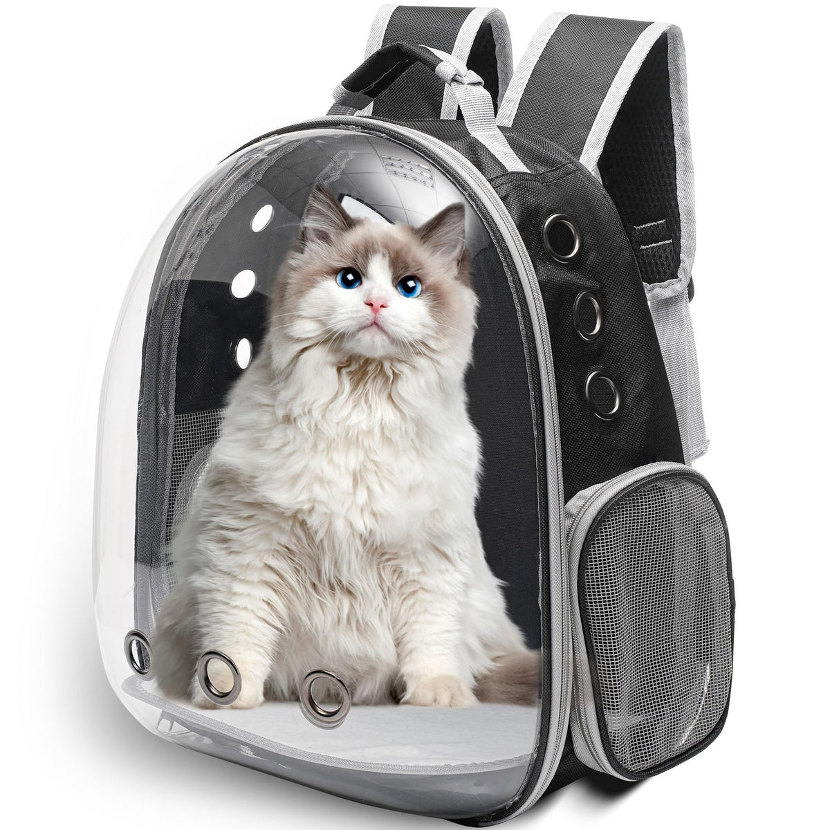Vivicreate large cat backpack with transparent bubble improves pet visibility during travel.