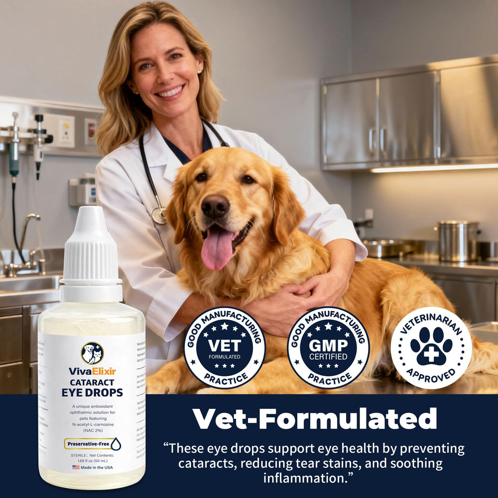 VivaElixir dog-cat eye care routine promoting daily hygiene.