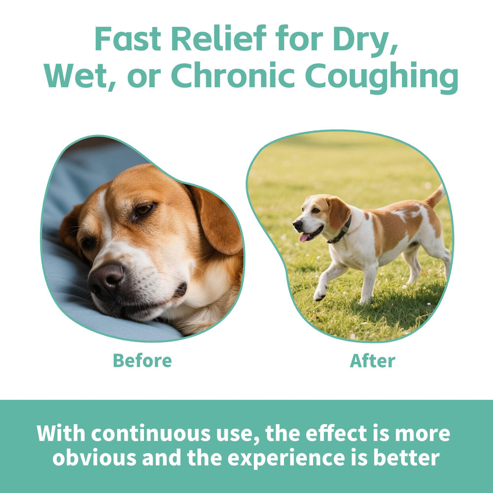 Dog chews VivaElixir for cough support in daily routine