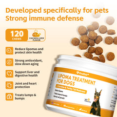 VivaElixir Lipoma Dog dosing scene illustrates easy administration and weight-based guidance.