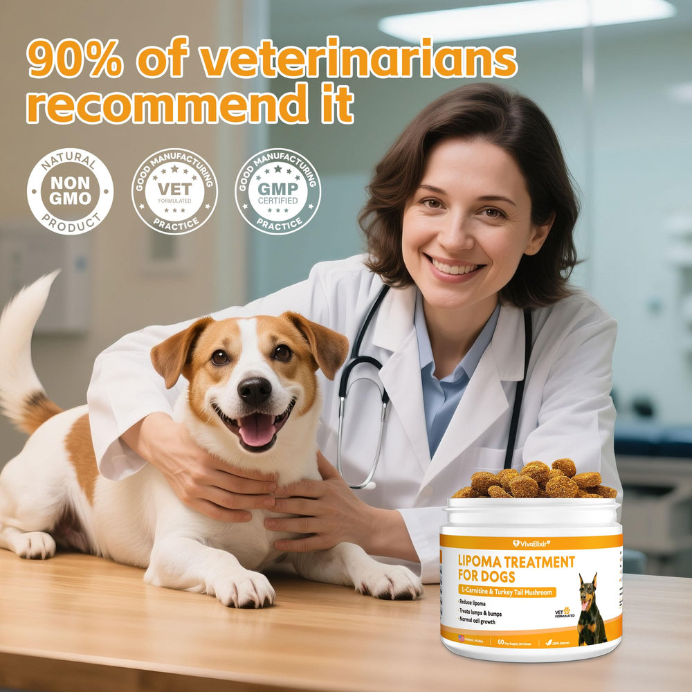 VivaElixir Made in USA label conveys natural, GMO-free daily supplement for seniors.
