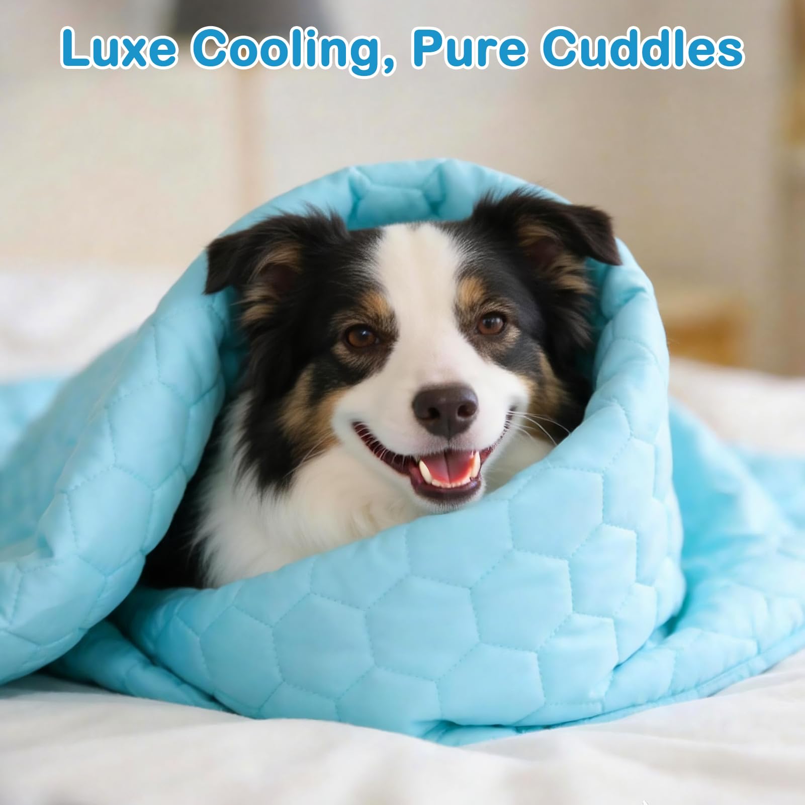 Vivifying blanket guards beds and couches from moisture