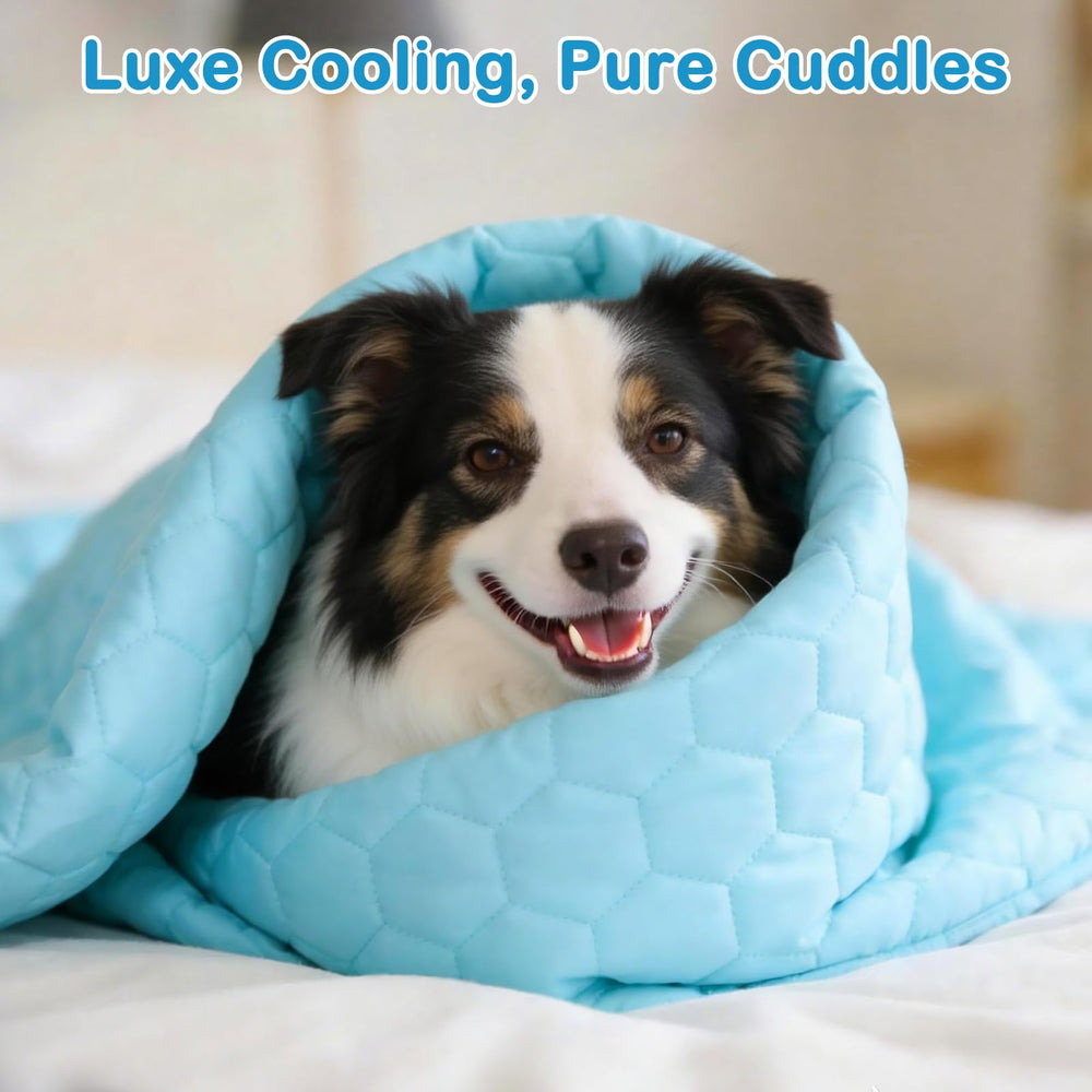Vivifying blanket guards beds and couches from moisture