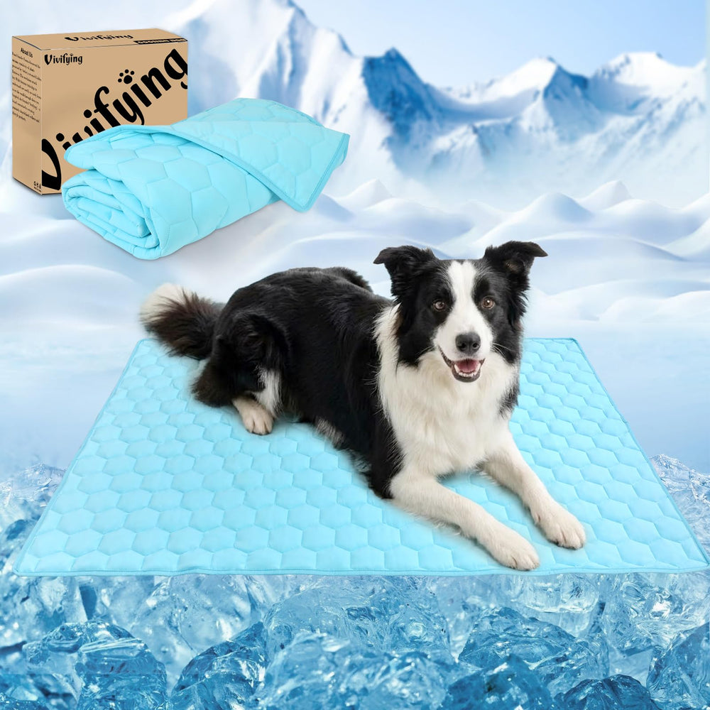 Vivifying blanket inside crate adds comfort and dryness