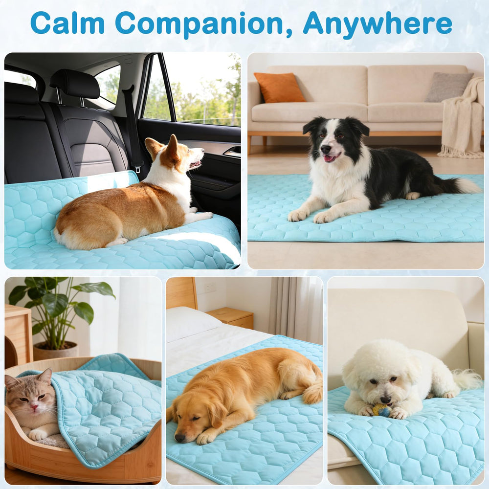 Vivifying blanket folds compactly for travel and car trips
