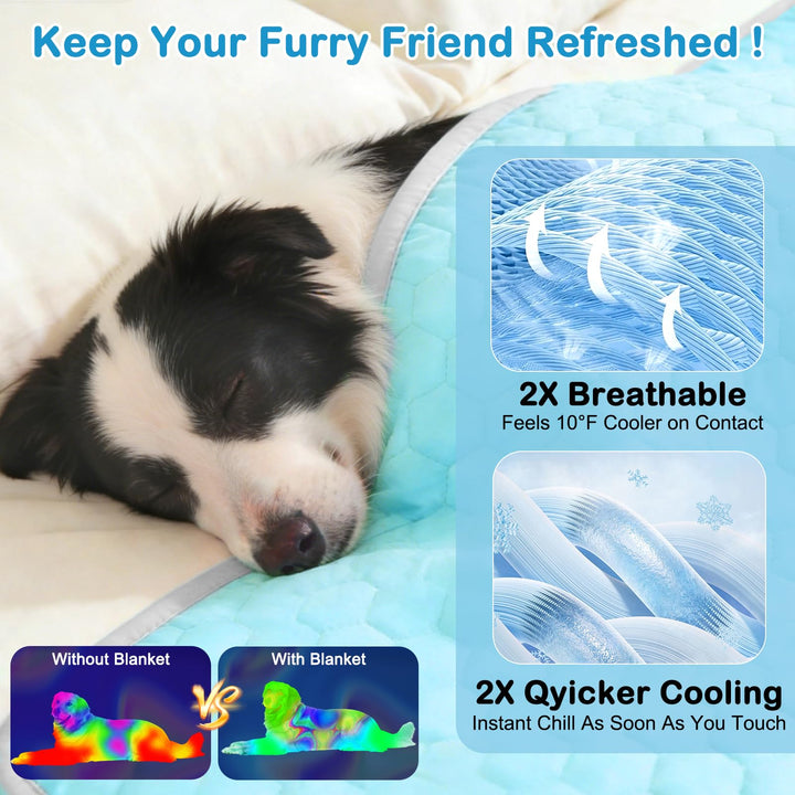 Vivifying blanket showing plush back side for cozy comfort.