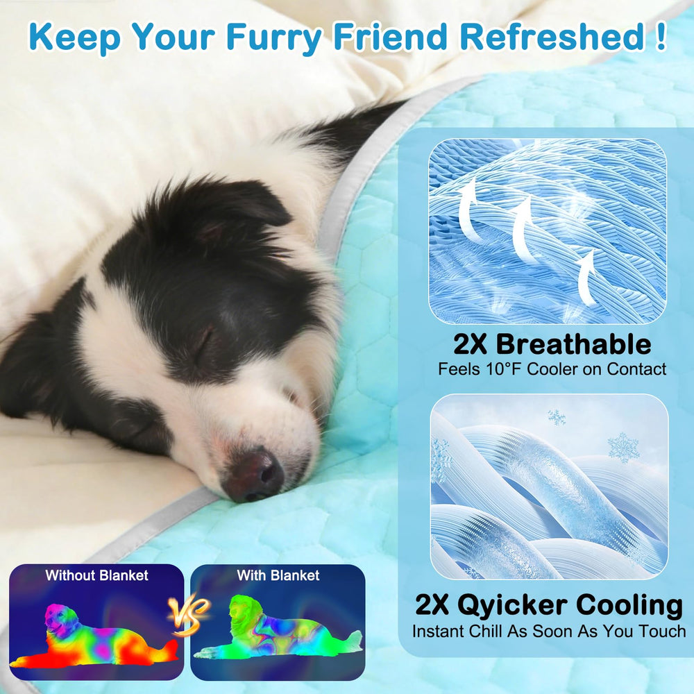Vivifying blanket showing plush back side for cozy comfort.