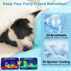 Vivifying blanket showing plush back side for cozy comfort.