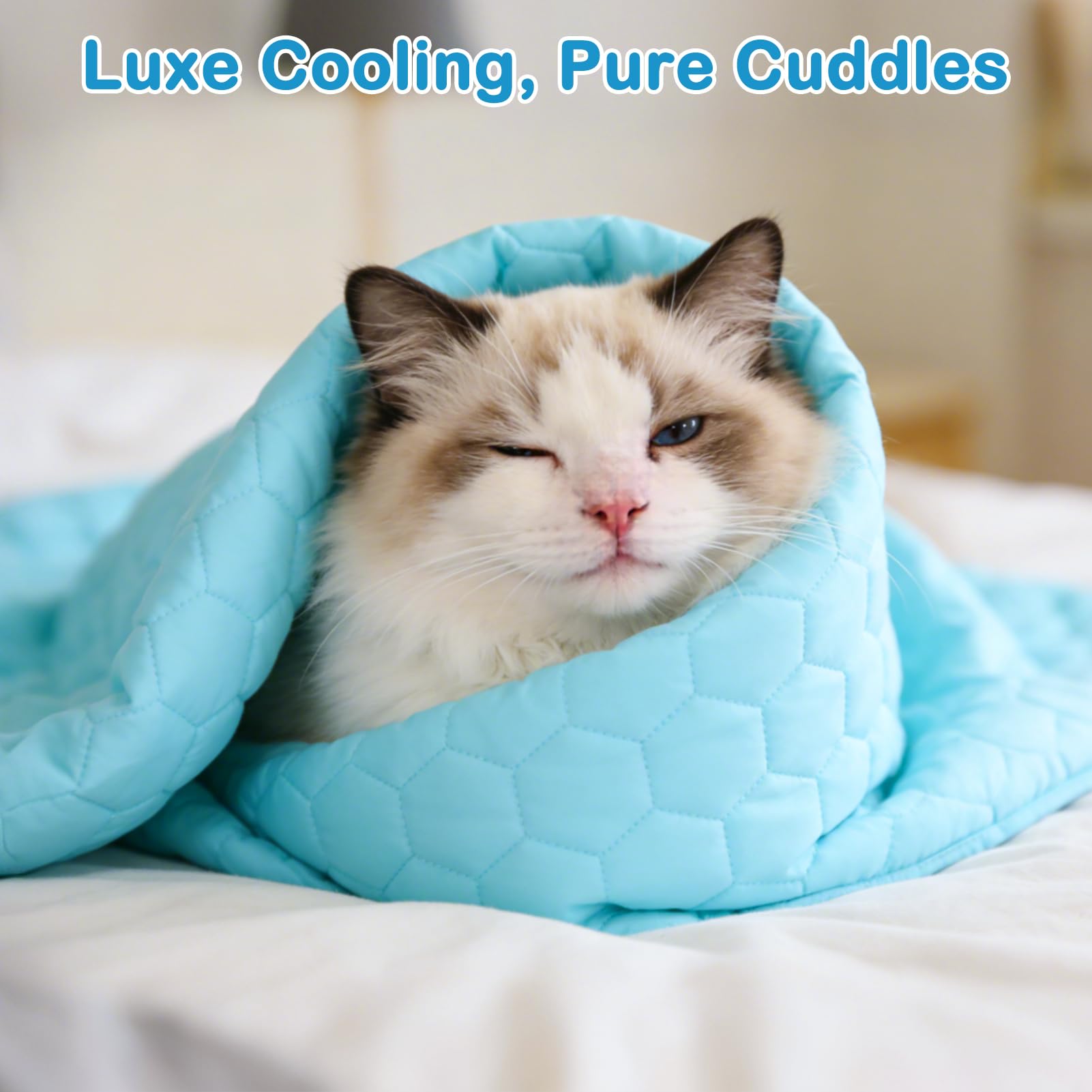Vivifying blanket spread on a bed to protect fabric as pets relax.