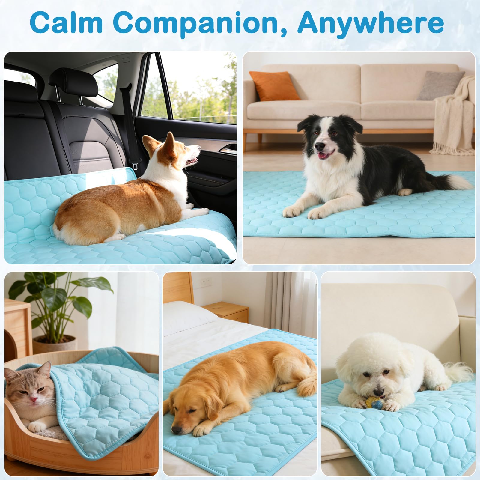 Vivifying crate mat keeps pets dry and cool while resting inside.