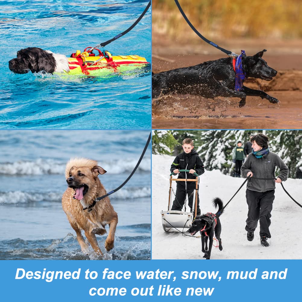 Vivifying leash suitable for swimming and beach adventures.