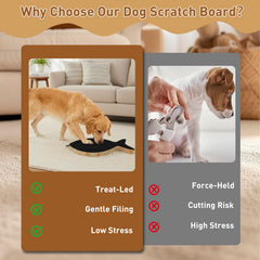 Vivifying dog nail scratch board treat drawer open for interactive rewards.