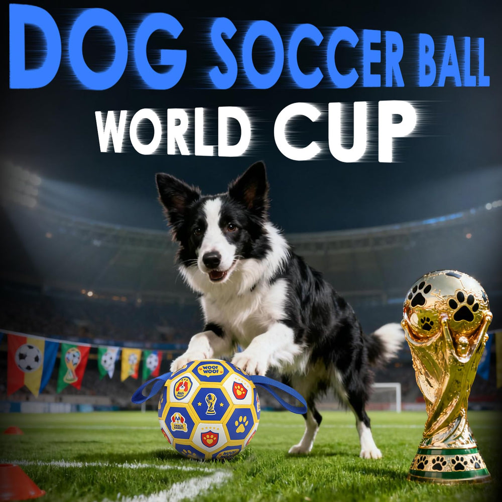 Dog playing with Vivifying World Cup ball toy during fetch.