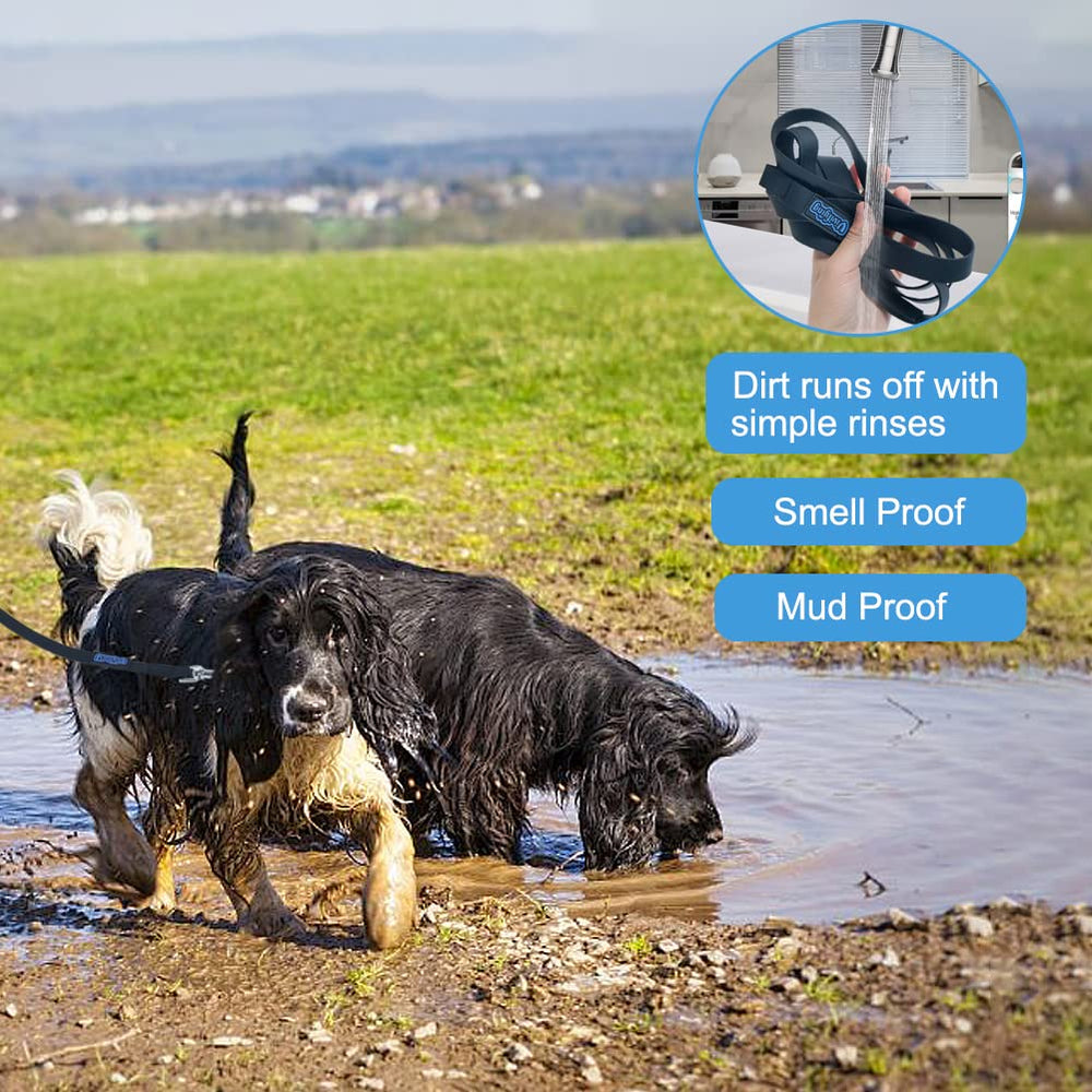 Vivifying easy-clean leash dries quickly after water exposure.