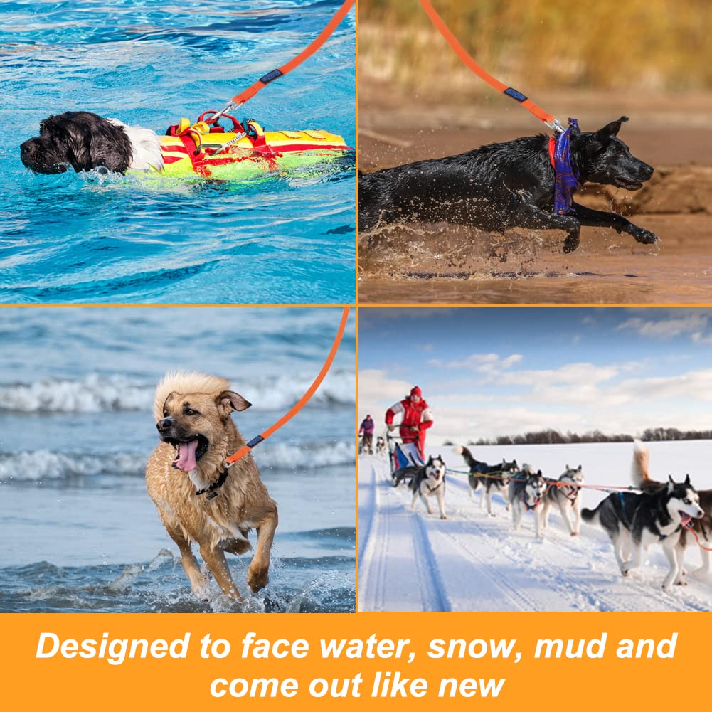 Vivifying leash shown by water for swimming and outdoor adventures