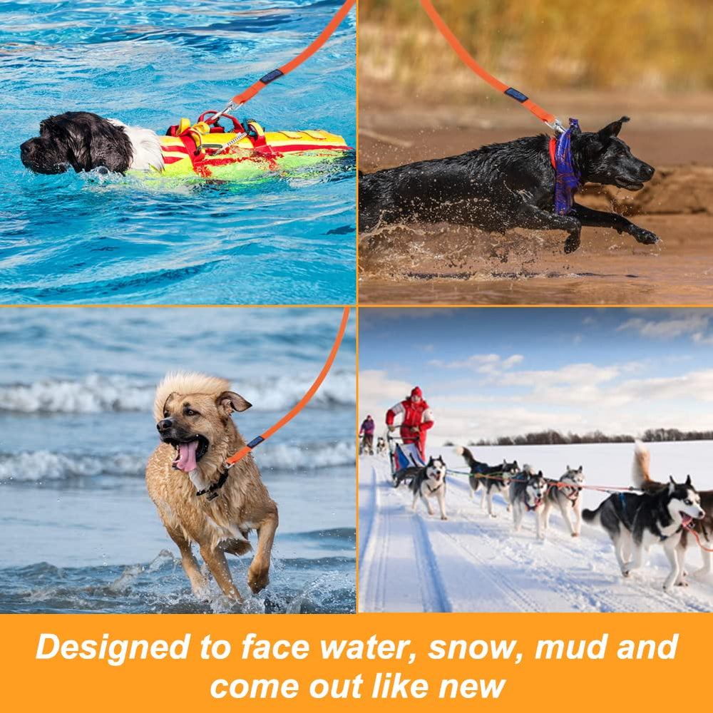 Vivifying leash shown by water for swimming and outdoor adventures
