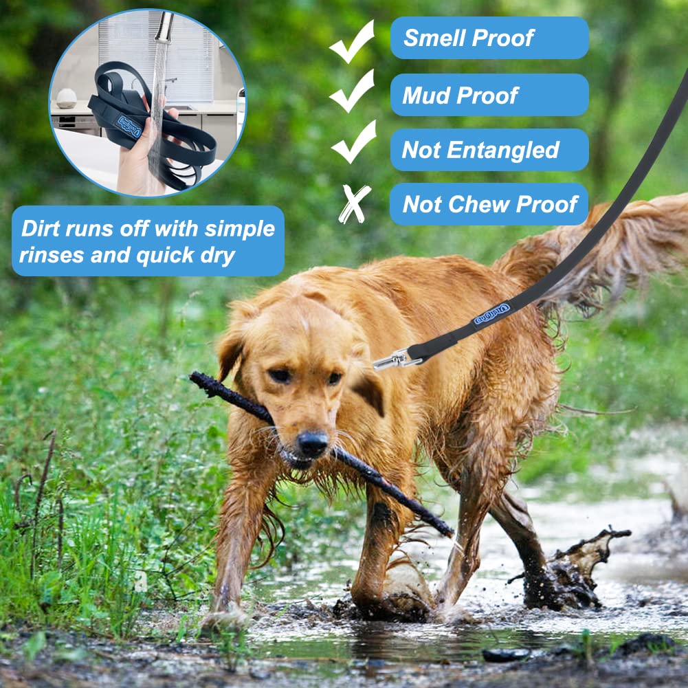 Vivifying training leash 20ft balances freedom and control during play.