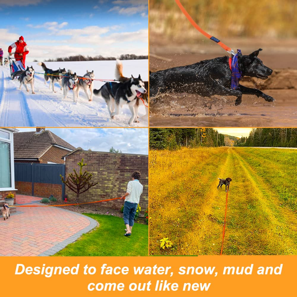High-visibility orange Vivifying leash for safer outdoor walks