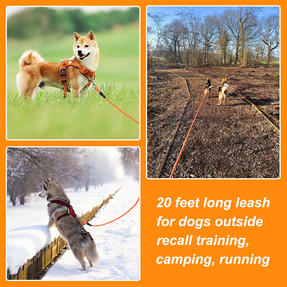 Vivifying outdoor training leash ideal for hiking, beach, and camping days