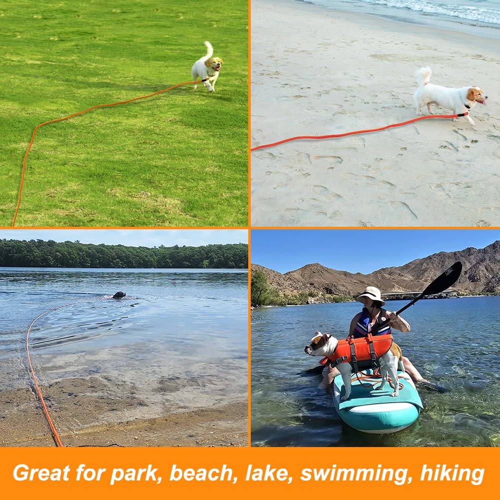 Vivifying leash suited for medium and small dogs during park and trail hikes