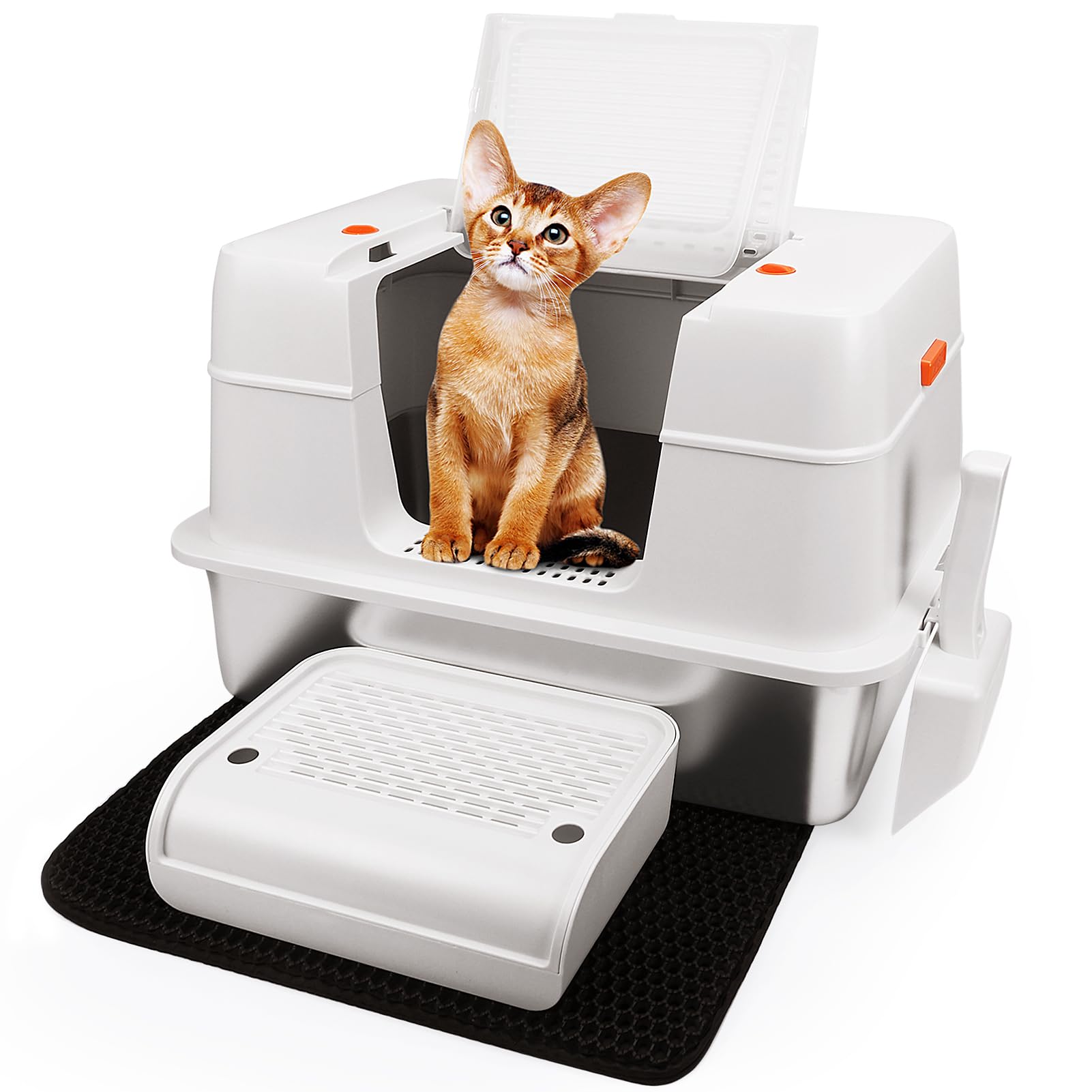 Vivifying footboard aids access for kittens and seniors.