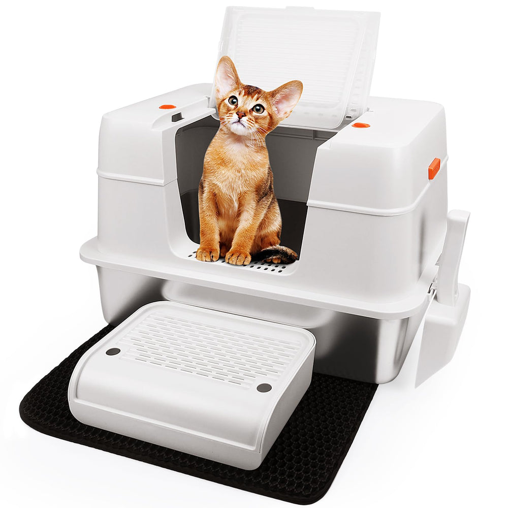 Vivifying footboard aids access for kittens and seniors.