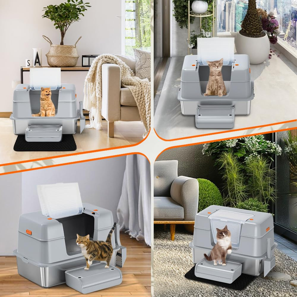 Footboard aids access for kittens and seniors using the Vivifying box