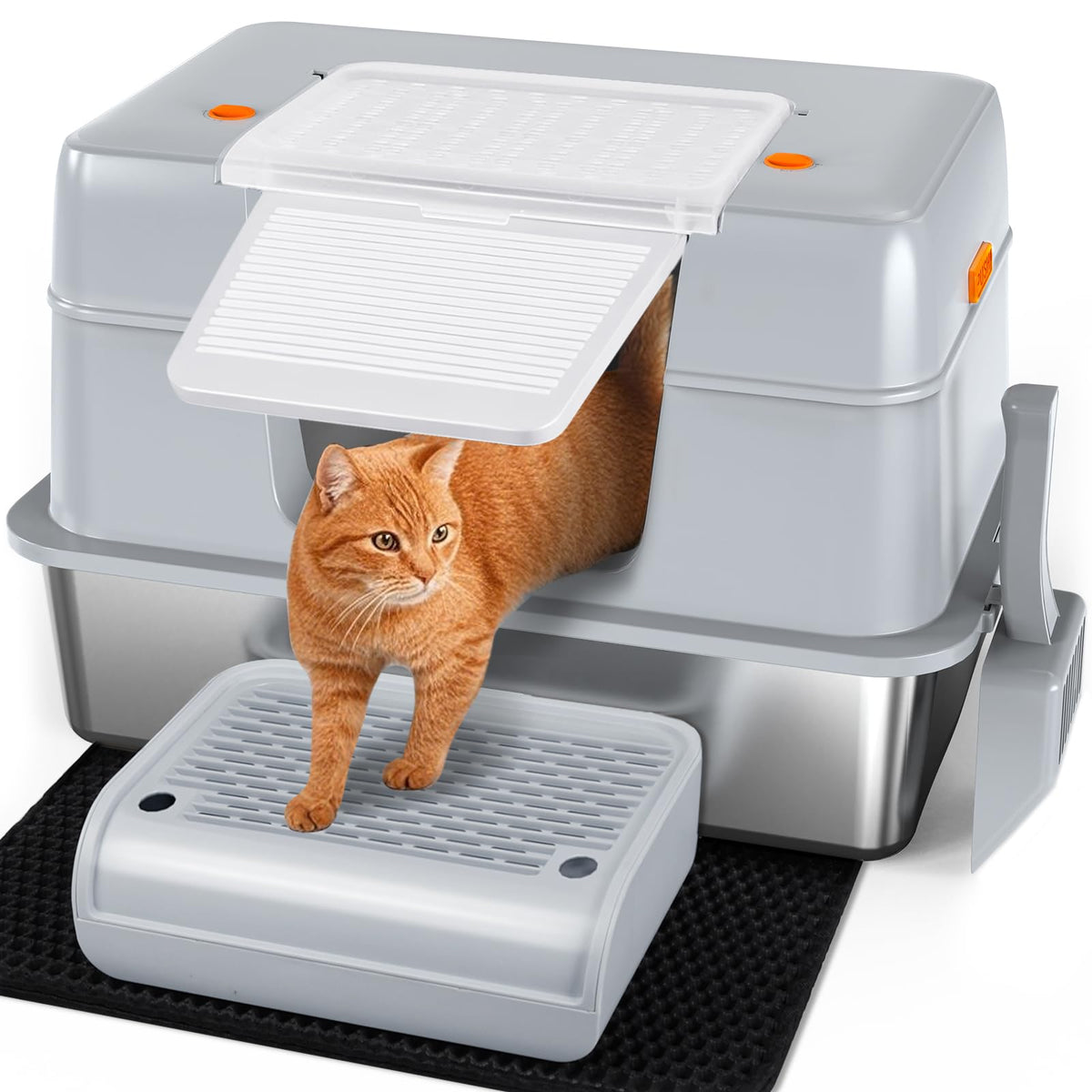 Vivifying stainless steel litter box with lid side entry reduces litter scatter
