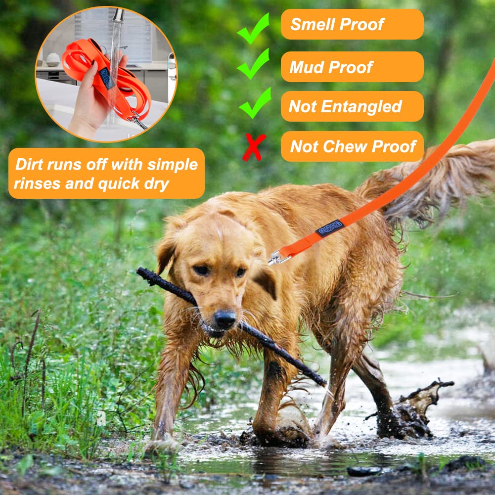Vivifying 20ft training leash ideal for recall training and flexibility