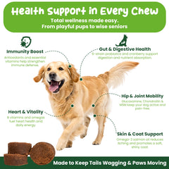 Vibin’ Tails hip joint support chews assist mobility during activity