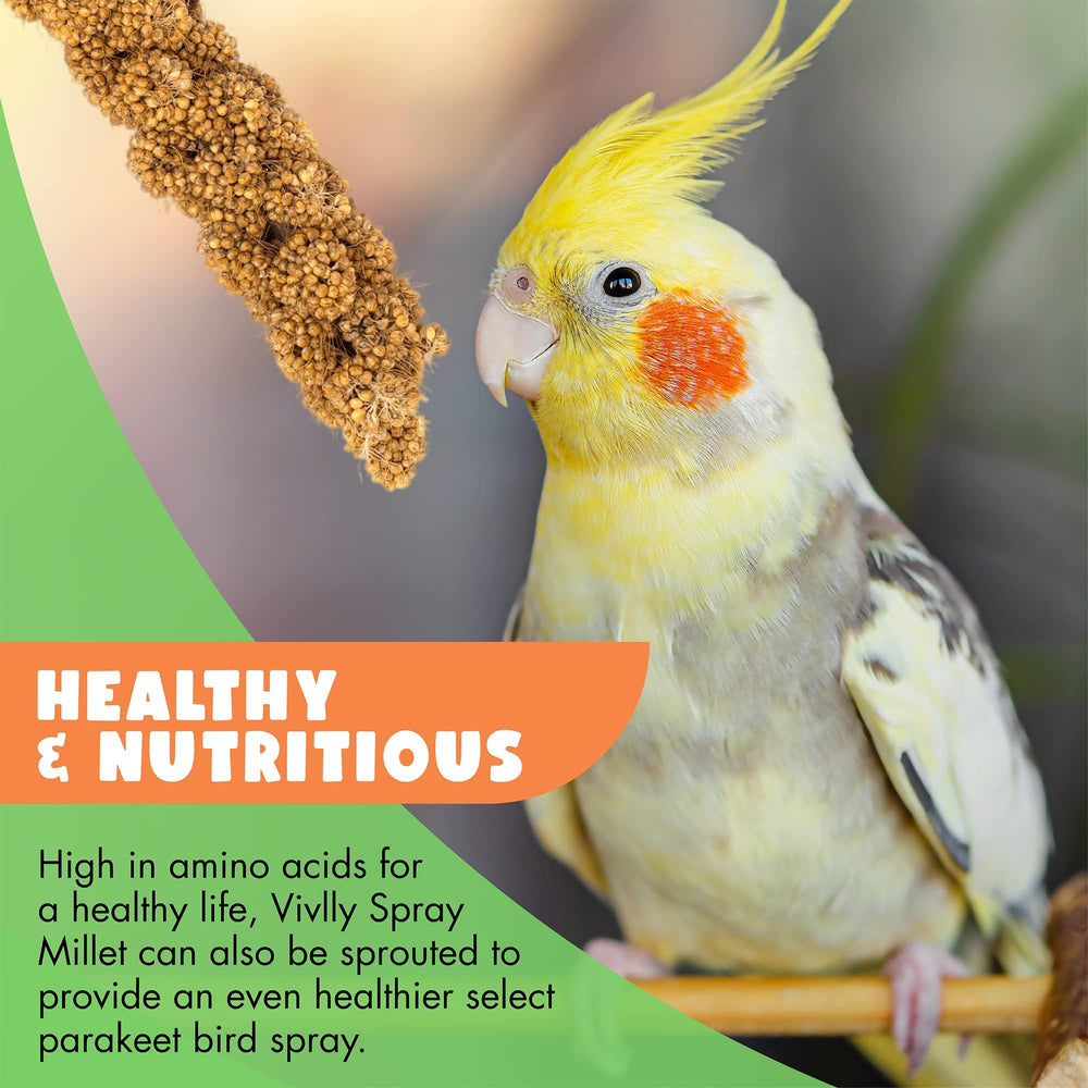 Vivlly amino-acid rich millet supports balanced bird nutrition.