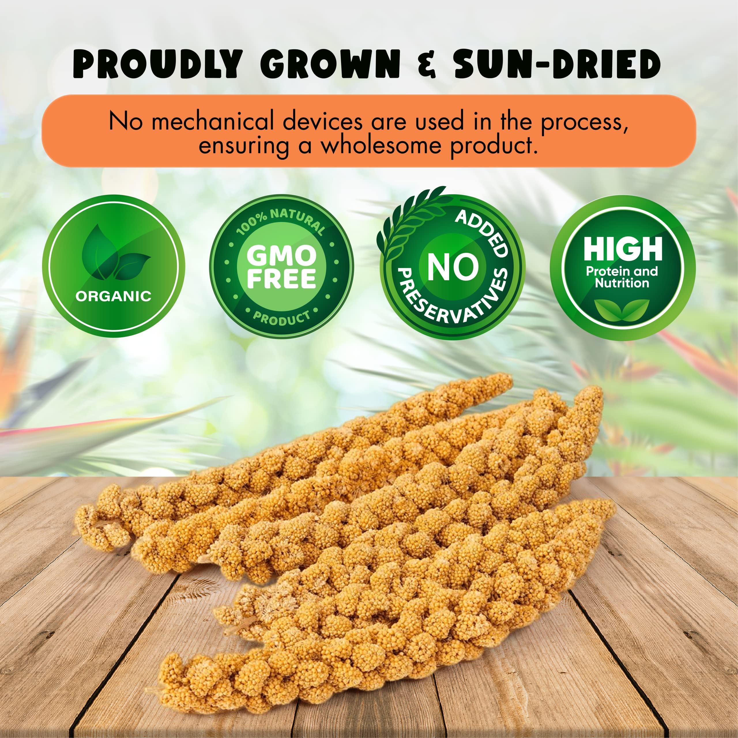 Vivlly bug-free spray millet, a safe, clean treat for small birds.