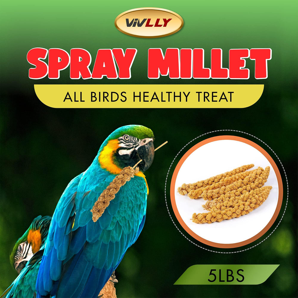 Vivlly easy-storage packaging keeps millet fresh between feedings.
