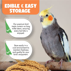 Vivlly edible spray millet close-up, 100% edible and bird-friendly.