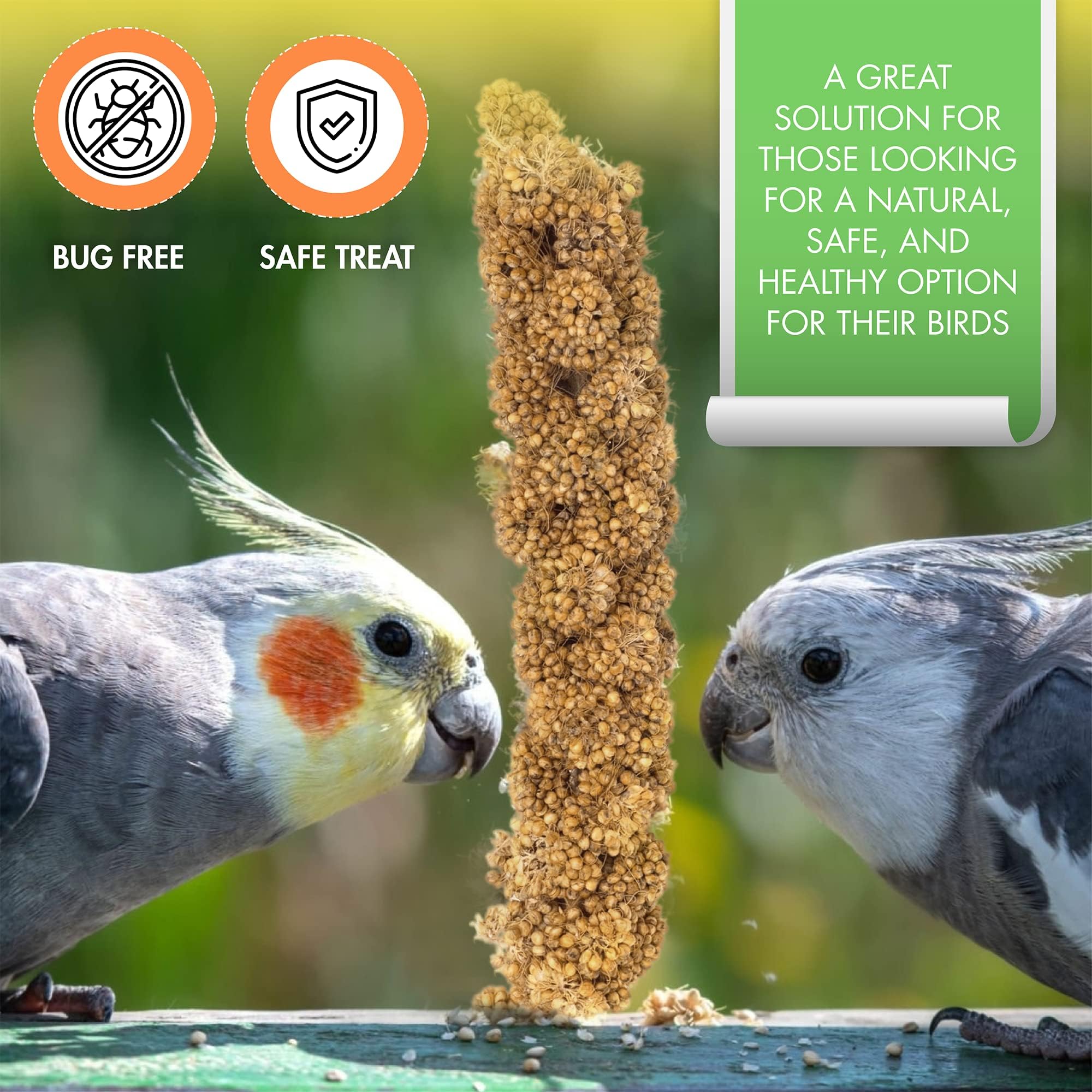 Vivlly non-GMO millet sun-dried to preserve natural flavor for birds.