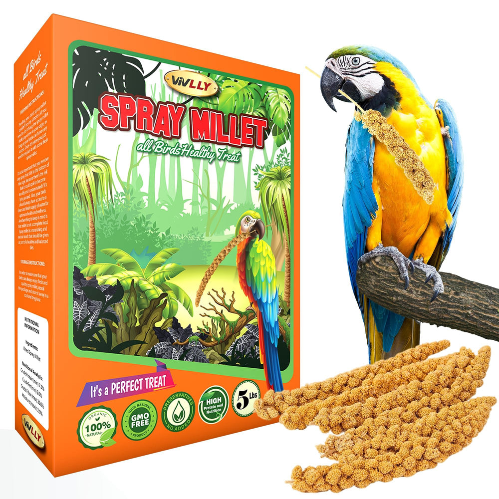 Vivlly snack collection for parakeets, cockatiels, and finches.