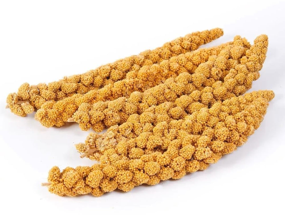 Vivlly sprout-ready millet, ideal for fresh, enriched feeding options.