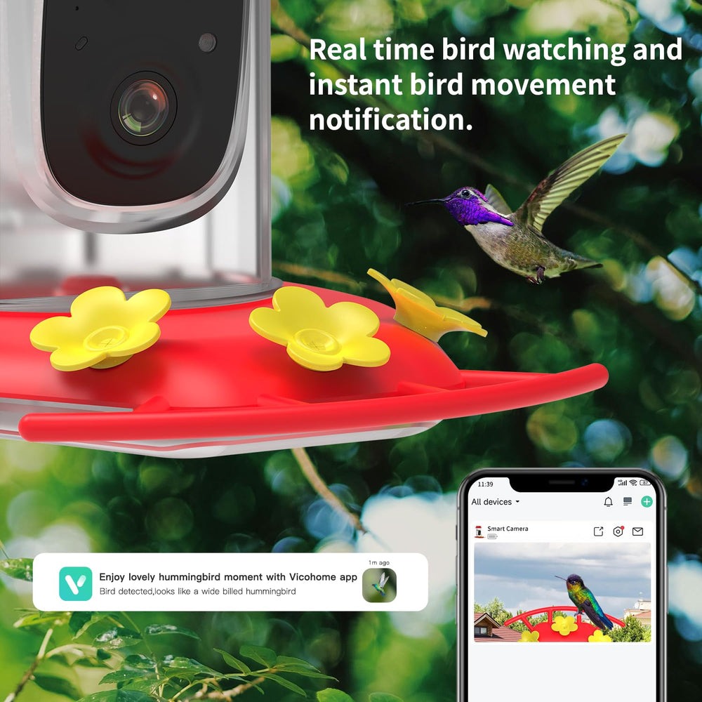 VKfoy AI ID identifies 300+ species during each hummingbird visit.