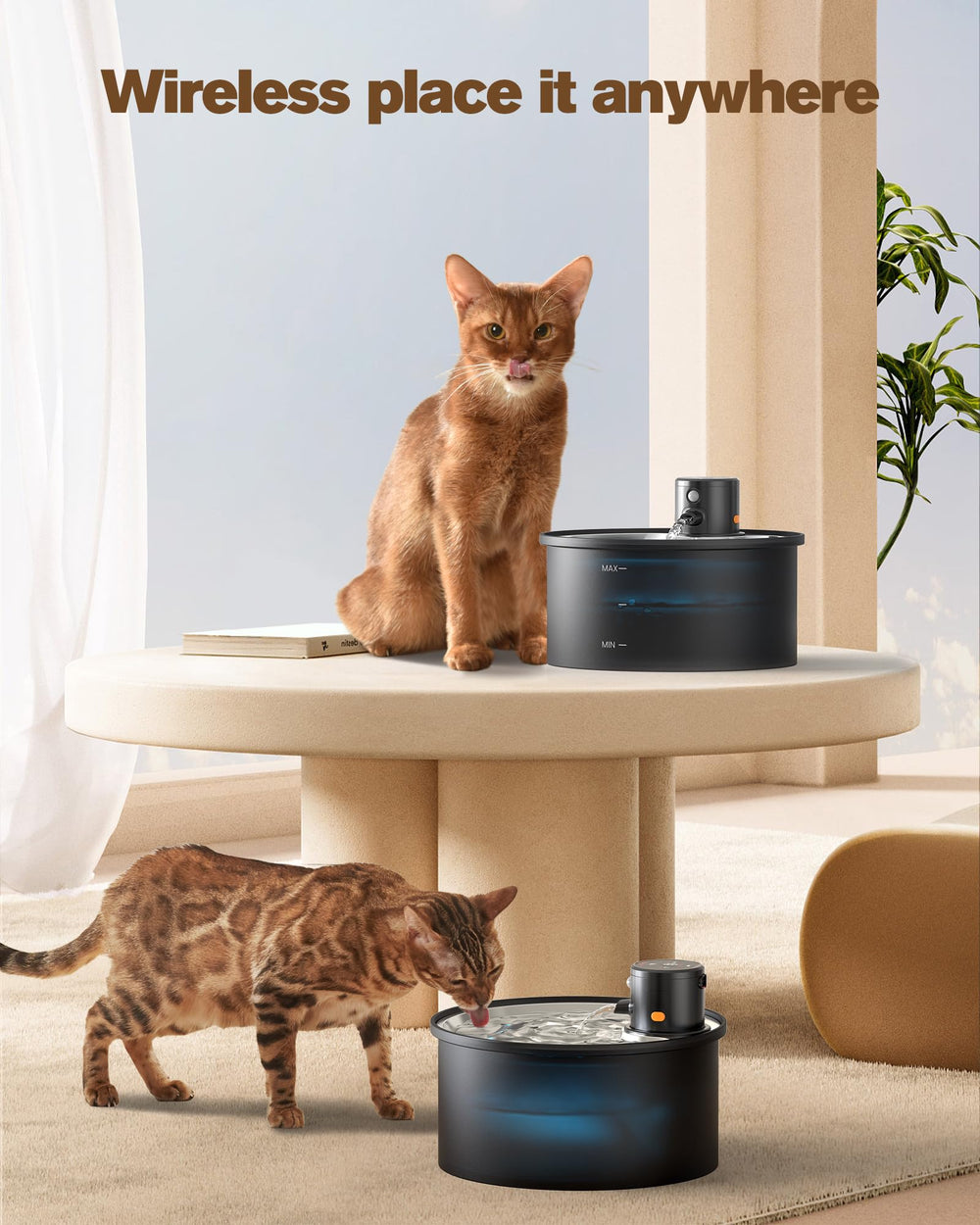 Circulation filtration provides pure, fresh water for thirsty felines.