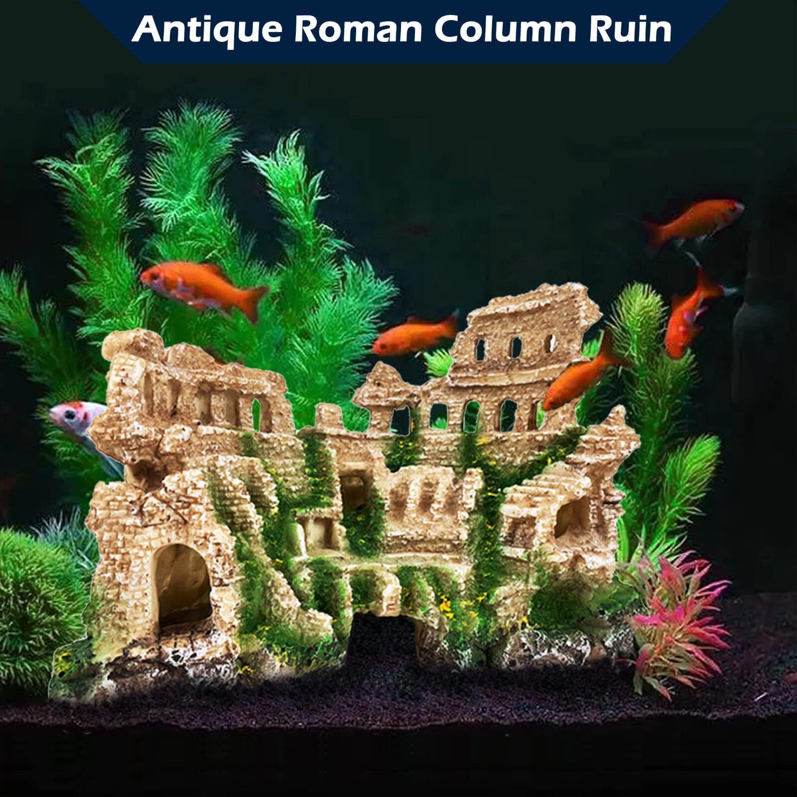 VMCN easy clean design helps maintain your aquarium decor