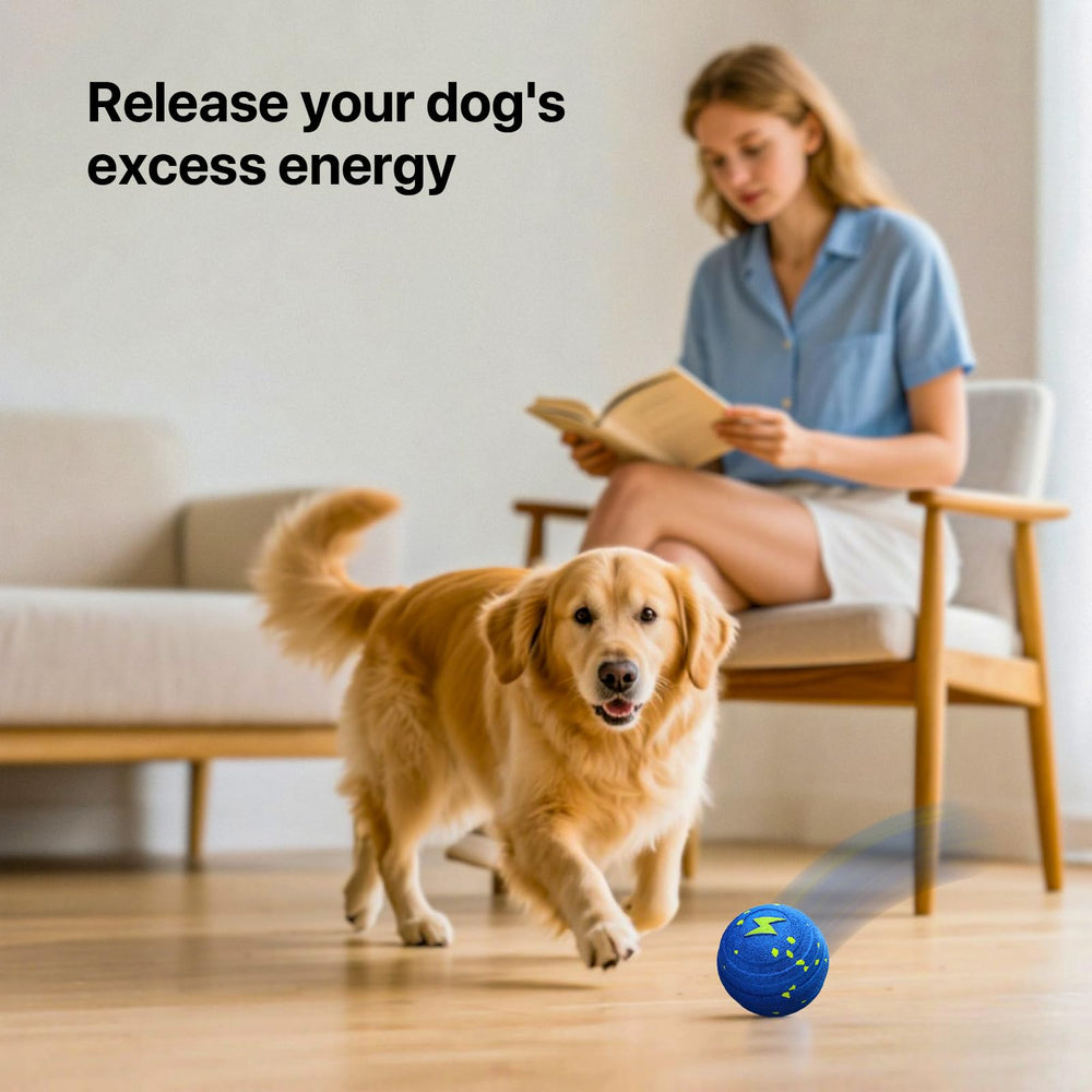 VNAKIO dog enjoys interactive play with the ball in action
