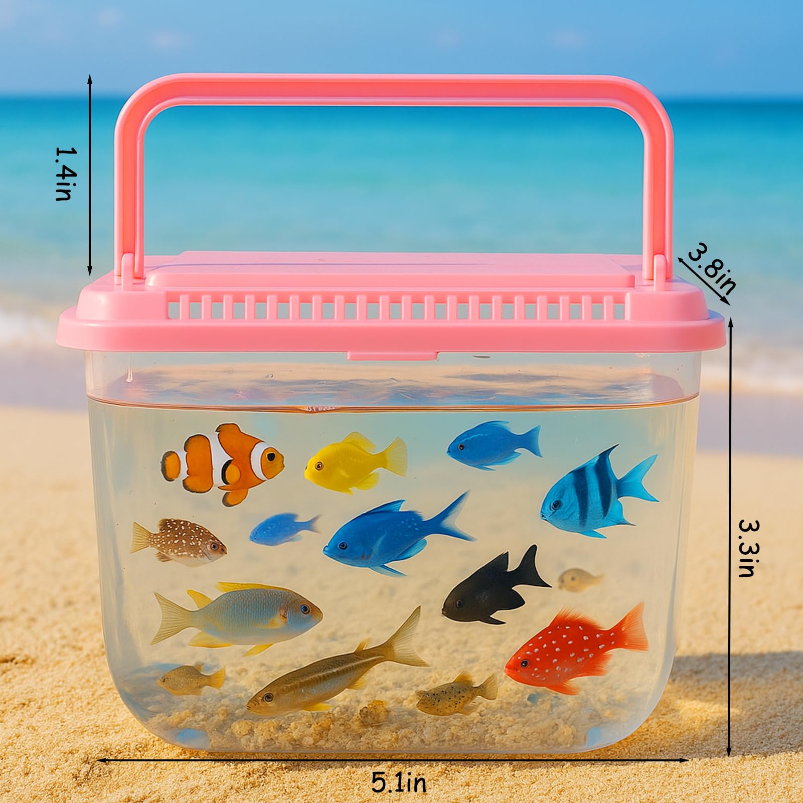 Vodolo Beach Aquarium includes a sturdy handle for easy carrying on adventures