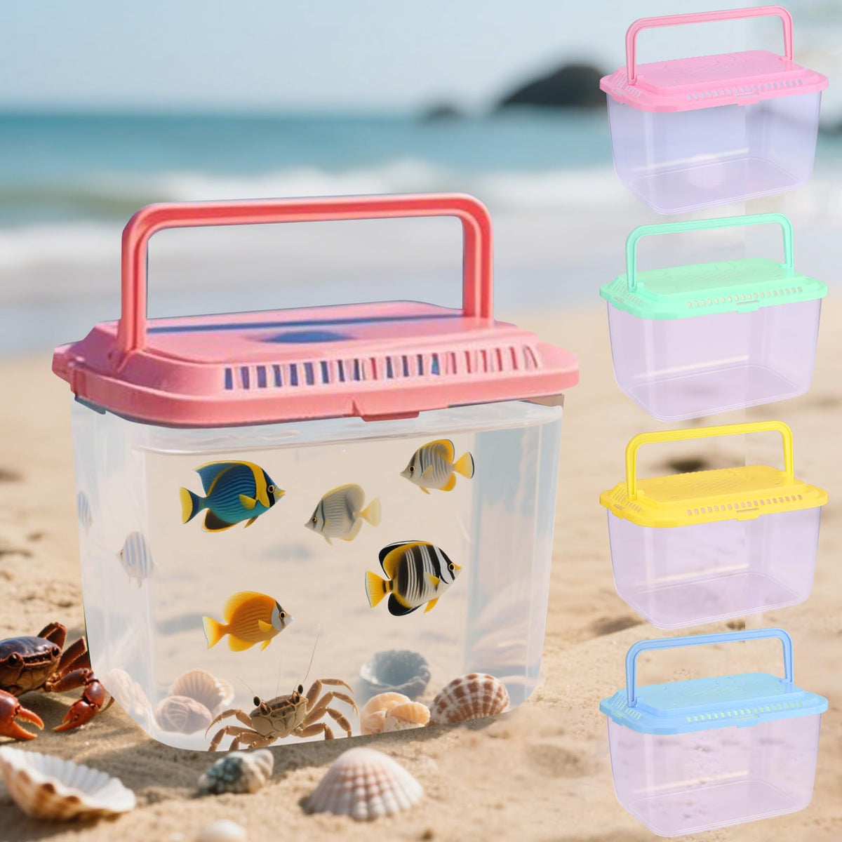 Vodolo Beach Aquarium transparent view helps kids observe shells and small sea life up close