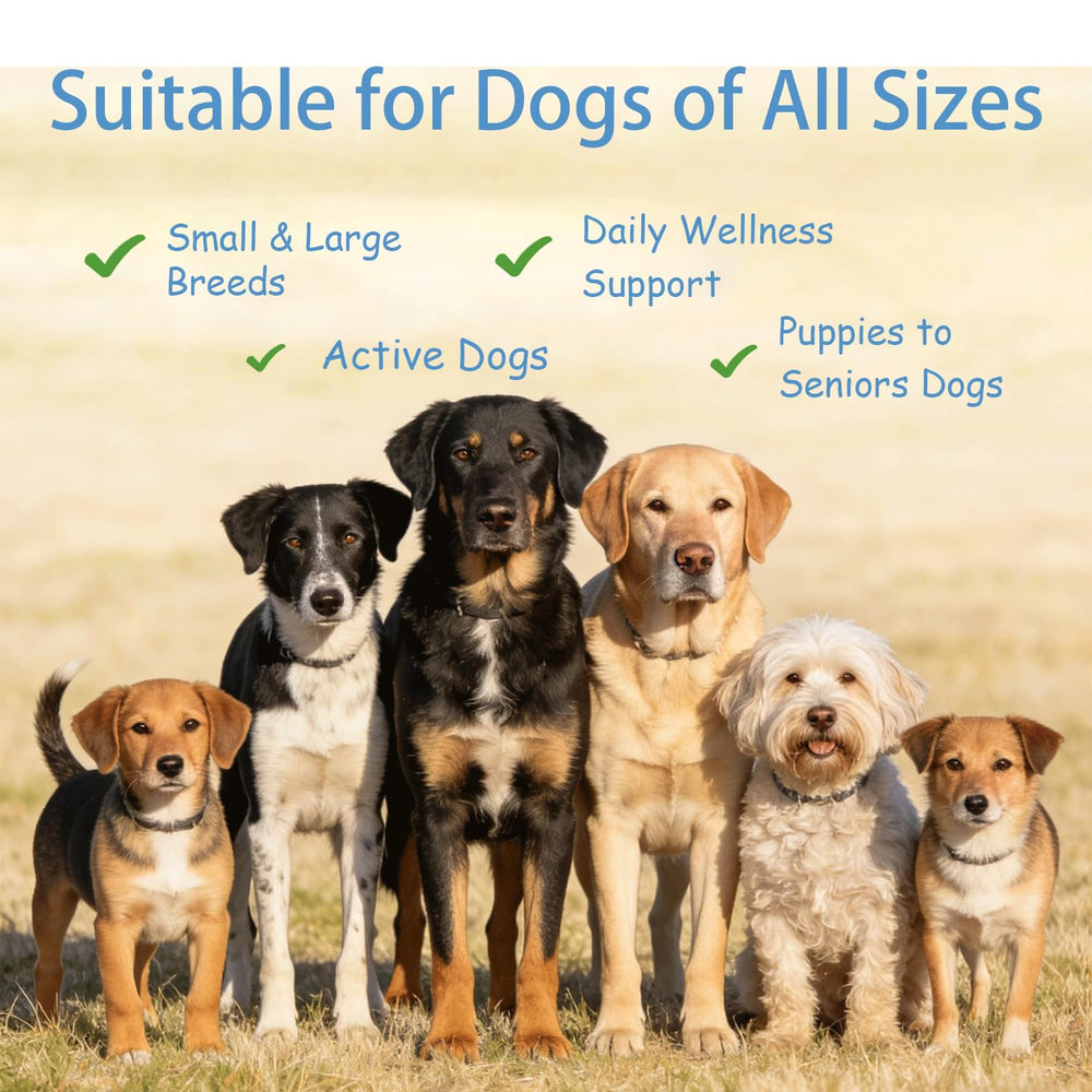 Dog bowl scene with Taurine powder suggests coat shine with regular use.