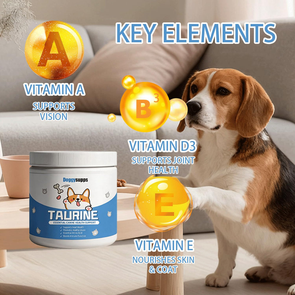 Close-up on coat shows potential shine with taurine supplementation.