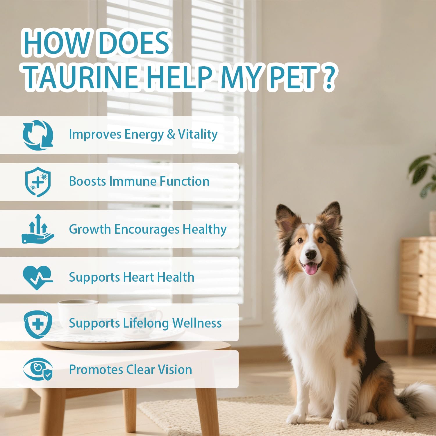 Taurine powder sprinkled on dog food supports daily energy and vitality.