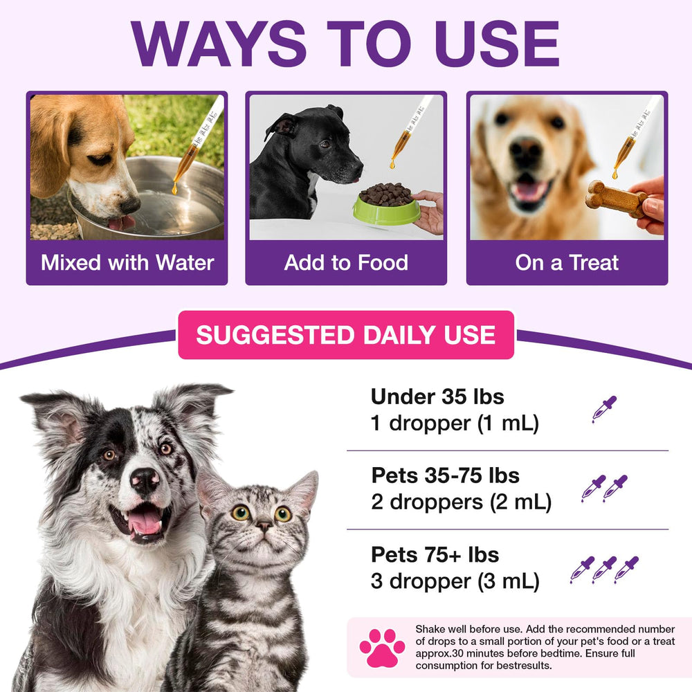 VOFANK Melatonin dog travel stress relief image suggests calmer car rides.