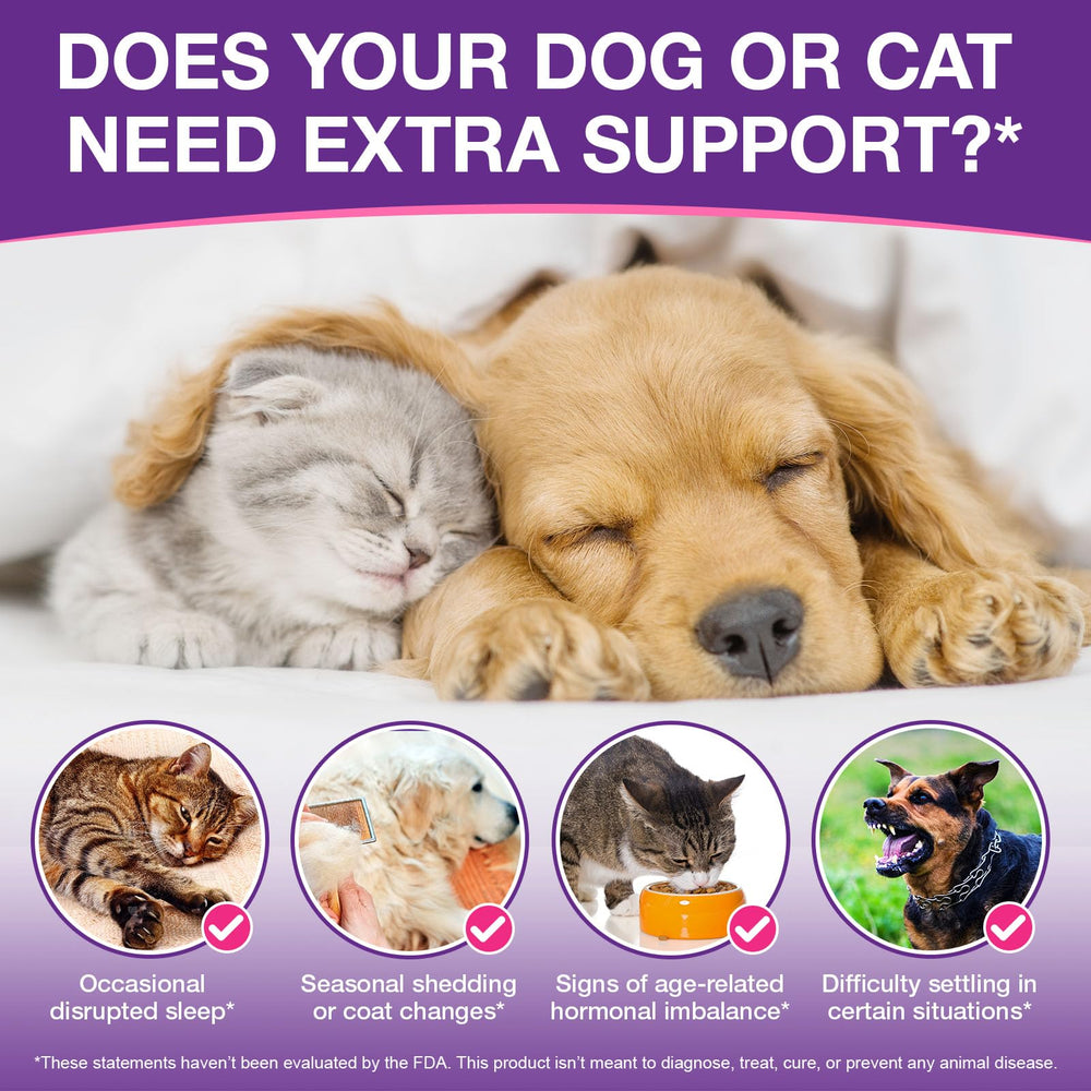 VOFANK Melatonin for Dogs image shows calm mood and coat health.